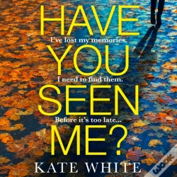 Capa do artigo Have You Seen Me?