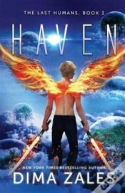 Capa do artigo Haven
