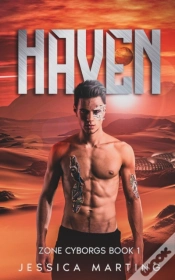 Capa do artigo Haven (Zone Cyborgs Book 1)