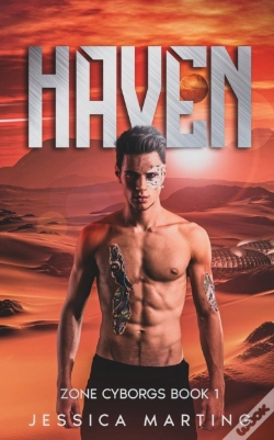 Capa do artigo Haven (Zone Cyborgs Book 1)