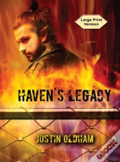 Capa do artigo Haven