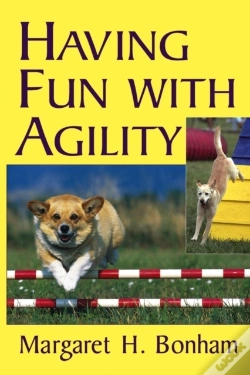 Capa do artigo Having Fun With Agility