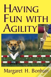 Capa do artigo Having Fun With Agility