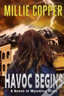 Havoc Begins