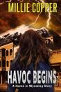 Havoc Begins - Preview
