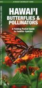 Hawai'I Butterflies & Pollinators, 2nd Ed - Preview