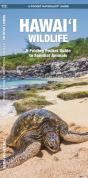 Hawai'I Wildlife, 2nd Ed - Preview
