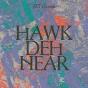 Hawk Den Hear - Vinil - Preview