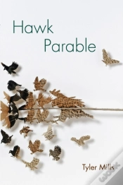 Capa do artigo Hawk Parable