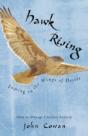 Hawk Rising: Soaring On The Wings Of Des - Preview