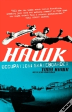 Capa do artigo Hawk