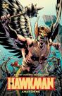 Hawkman Volume 1: Awakening - Preview