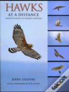 Hawks At A Distance