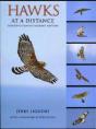 Hawks At A Distance - Preview