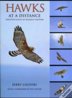 Capa do artigo Hawks At A Distance