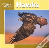 Hawks