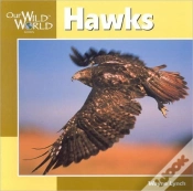 Capa do artigo Hawks