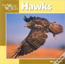 Capa do artigo Hawks