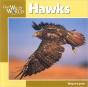 Hawks - Preview
