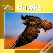 Capa do artigo Hawks