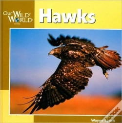 Capa do artigo Hawks