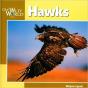 Hawks - Preview
