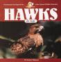 Hawks For Kids - Preview