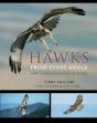 Hawks From Every Angle - Preview