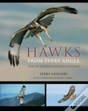 Capa do artigo Hawks From Every Angle