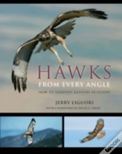 Capa do artigo Hawks From Every Angle