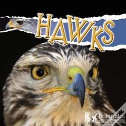 Capa do artigo Hawks
