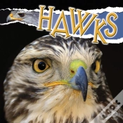 Capa do artigo Hawks