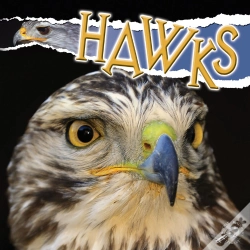 Capa do artigo Hawks