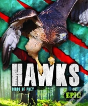 Capa do artigo Hawks