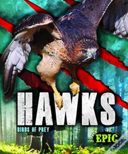 Capa do artigo Hawks