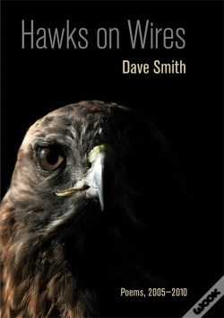 Capa do artigo Hawks On Wires