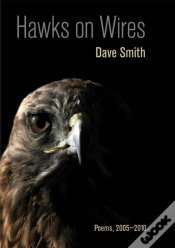 Capa do artigo Hawks On Wires