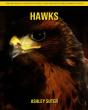 Hawks - Preview