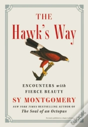 Capa do artigo Hawk