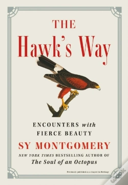 Capa do artigo Hawk'S Way