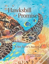 Capa do artigo Hawksbill Promise