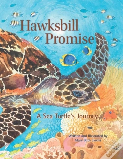 Capa do artigo Hawksbill Promise