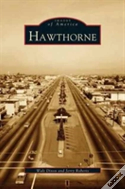Capa do artigo Hawthorne