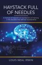 Haystack Full Of Needles - Preview