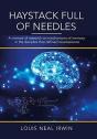 Haystack Full Of Needles - Preview