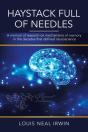 Haystack Full Of Needles - Preview