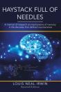 Haystack Full Of Needles - Preview