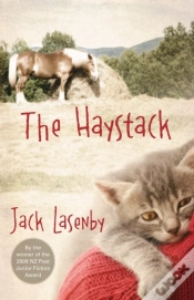 Capa do artigo Haystack