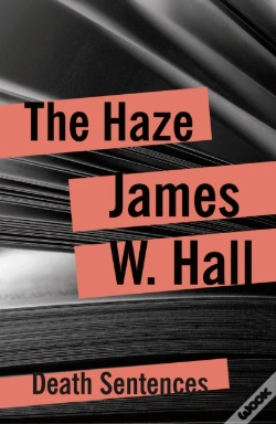 Capa do artigo Haze