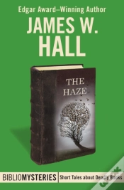 Capa do artigo Haze